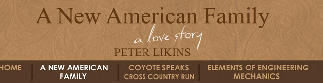 About the Book - A New American Family, A Love Story by Peter Likins